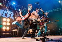 McFly at Download