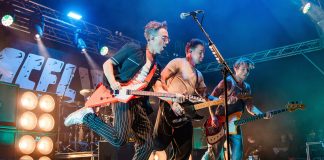 McFly at Download