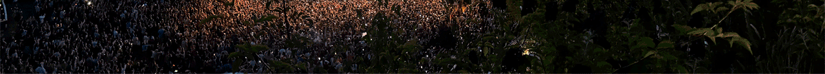 FinelineBanner