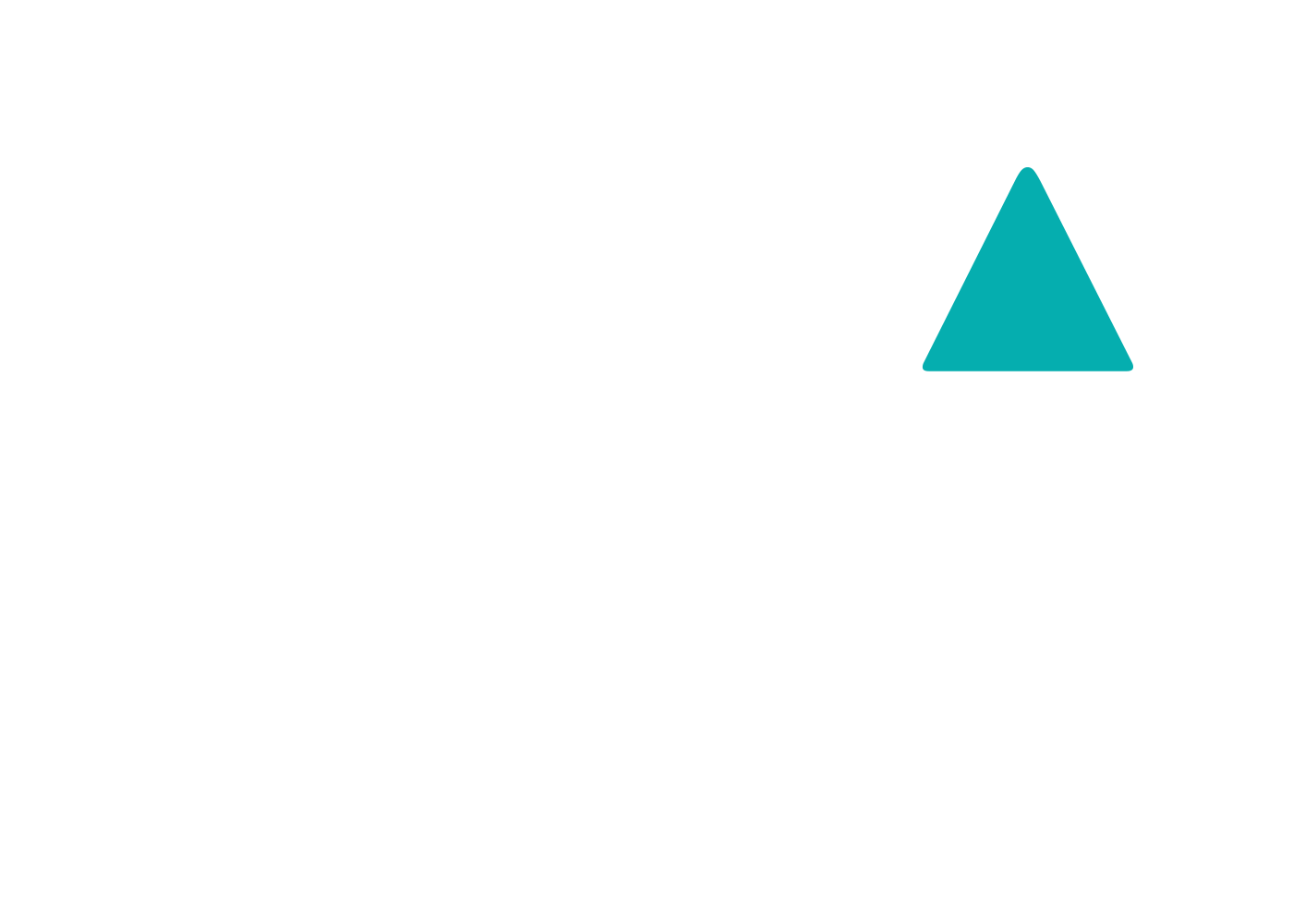Festival Insights