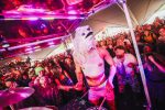 Shambala Festival